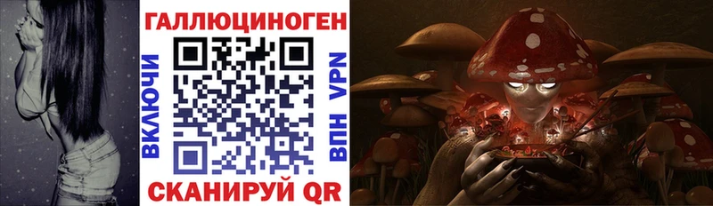 ссылка на мегу зеркало Еманжелинск Галлюциногенные грибы Psilocybe