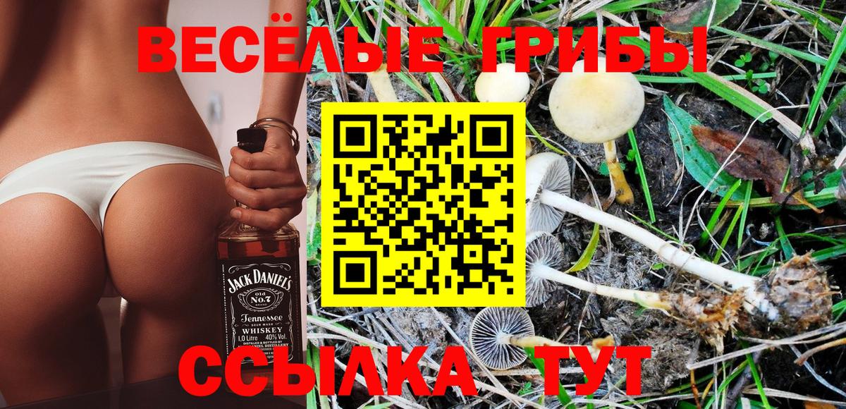 Псилоцибиновые грибы ЛСД Еманжелинск