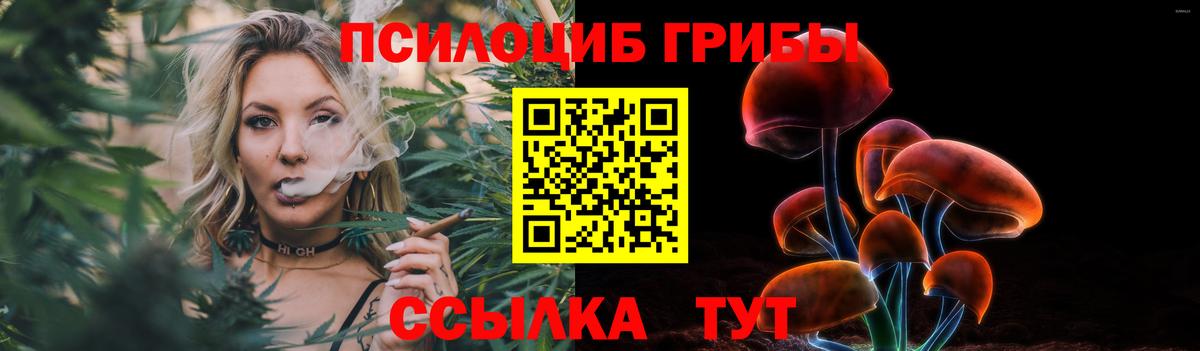Галлюциногенные грибы Cubensis  Вход с VPN  Еманжелинск 