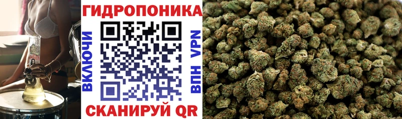 Бошки Шишки OG Kush  наркошоп  мориарти Telegram  Еманжелинск 